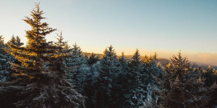 West Virginia Hunting Seasons